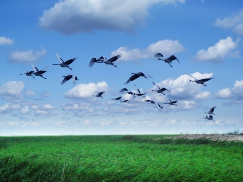 微信圖片_20230409181002