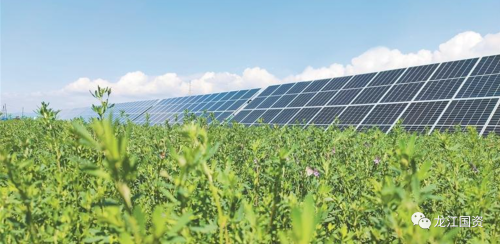 微信圖片_20231016204639