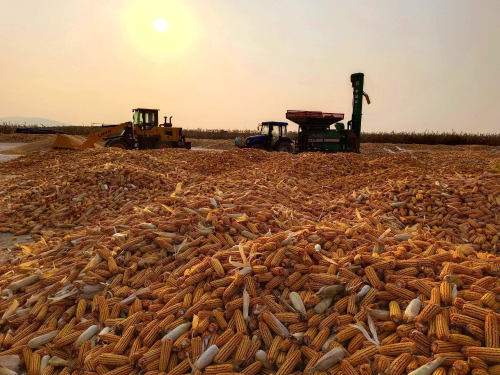 微信圖片_20231028192816