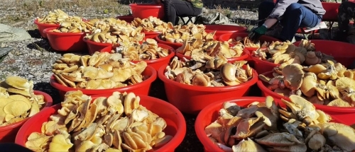 微信圖片_20231030075315