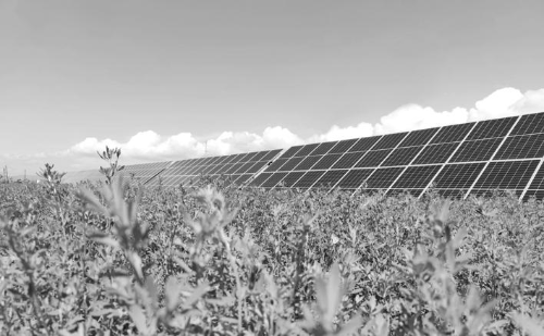 微信圖片_20240202181227