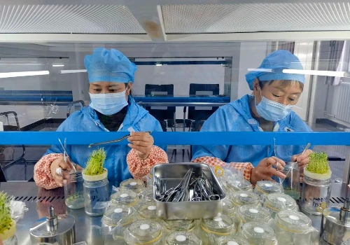 微信圖片_20240208181201