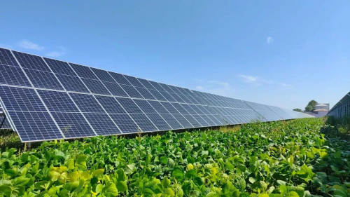 微信圖片_20240309005121