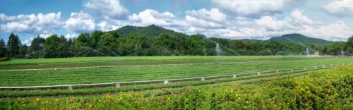 微信圖片_2025-12-25_210619_750